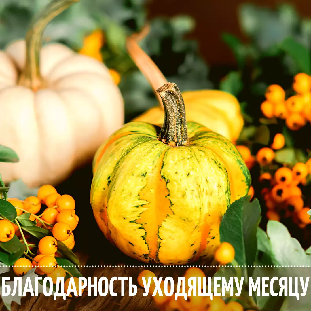 «Благодарность обогащает жизнь человека. Она возвышает его, вдохновляет, заряжает и преображает. Выражение ...